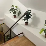 Gesztenyes Matra Wellness 3* Parád
