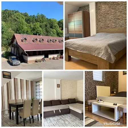 Guest house No1 Vendeghaz