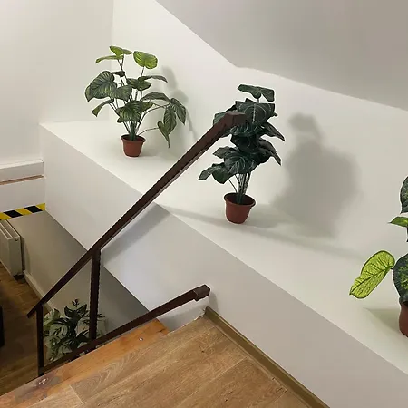 No1 Vendeghaz 3* Parád